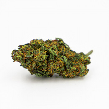 Gelato 19,6 %