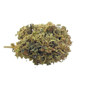 Gelato 8,3 %