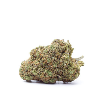 Purpple Runtz 7,1 %