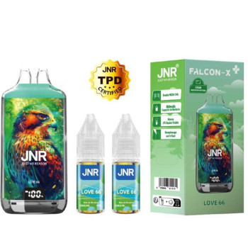 Kit Love 66 28000 puffs...