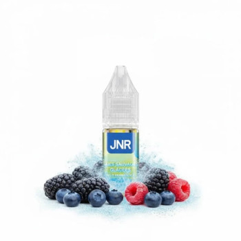 Wild Berries Ice 10ml -...